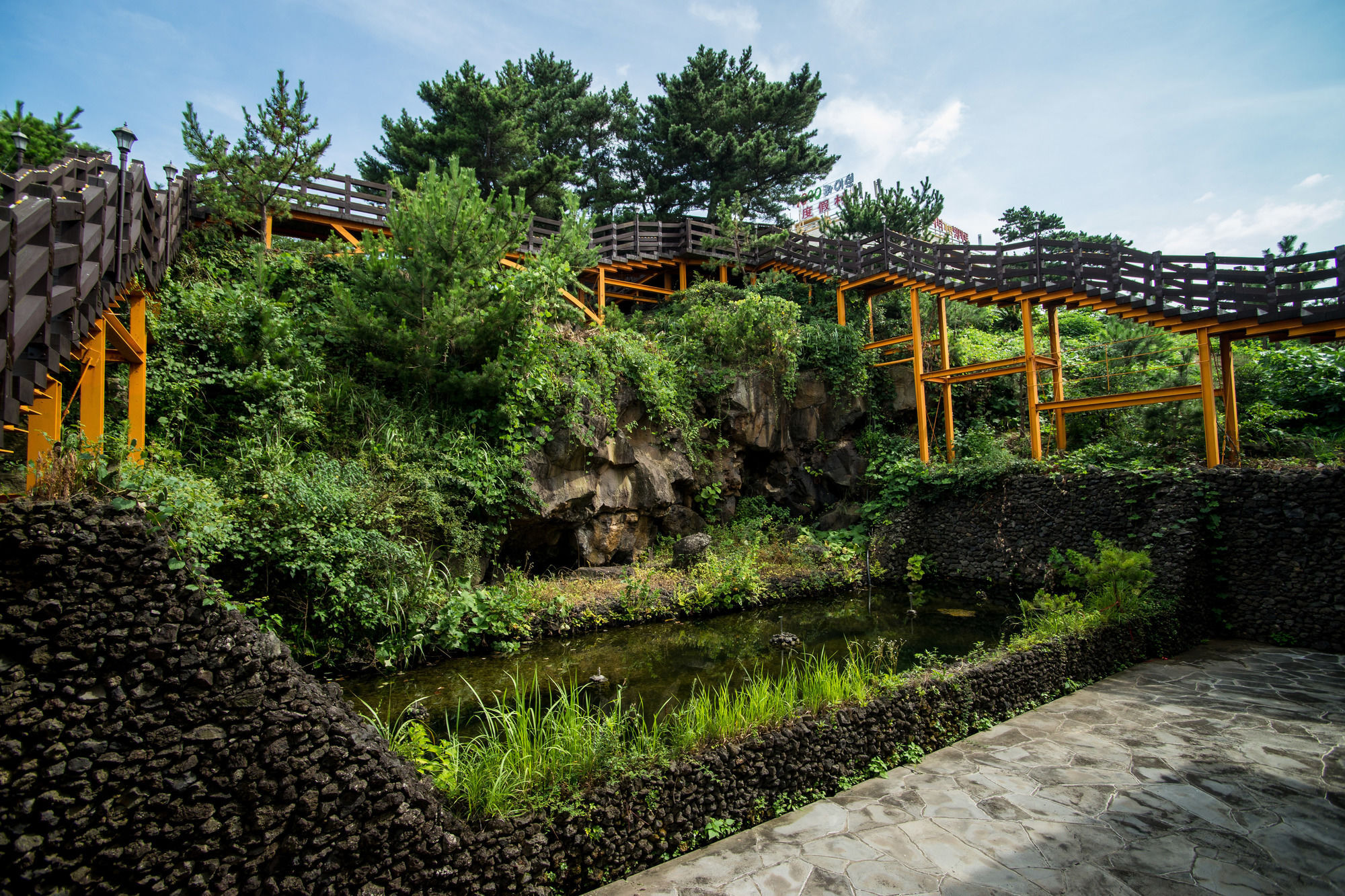 Witch'S Broomstick เมืองเชจู ภายนอก รูปภาพ